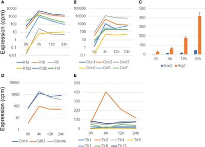 Transcriptome analysis of long non-coding RNAs in Mycobacterium avium complex–infected macrophages